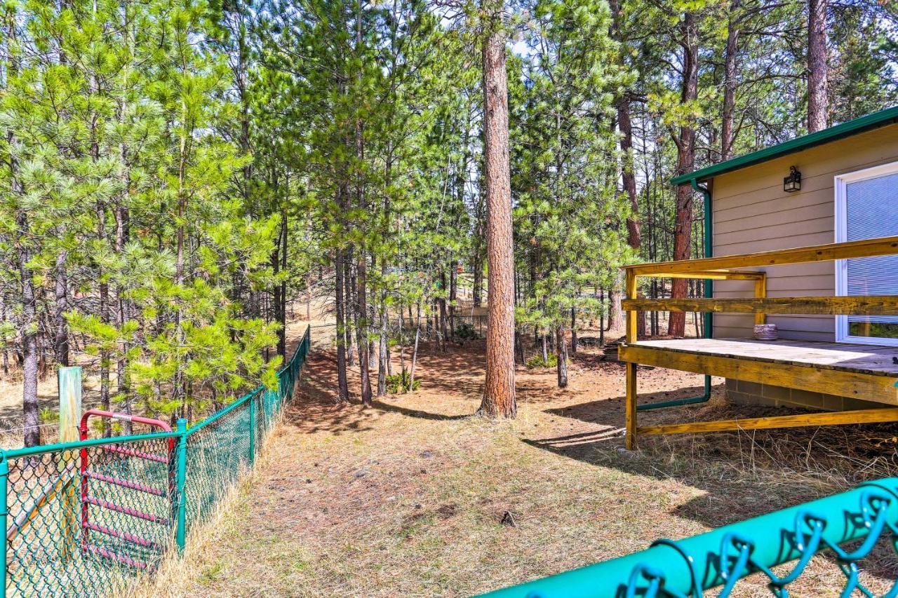 Private Black Hills Home With Corral Horses Welcome Custer Exterior foto